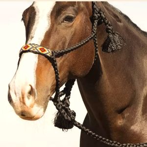 Horse rope halter tack
